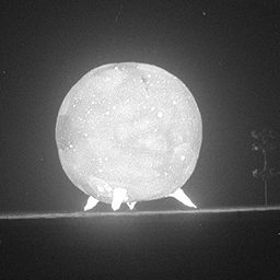 Atomic Bomb Explosion