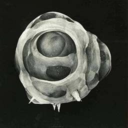 Atomic Bomb Explosion
