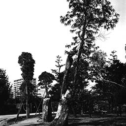 Hiroshima Castle