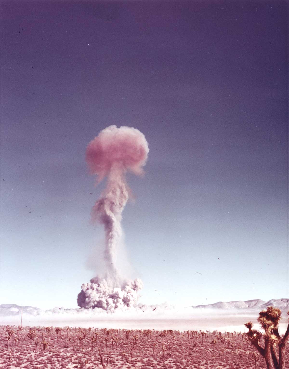 Mushroom Cloud